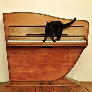 美女的🍌伸到🍑屁股眼里面
