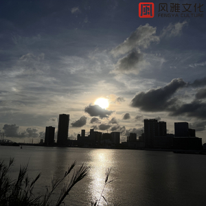 美女的🍌伸到🍑屁股眼里面
